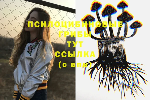 дурь Волосово