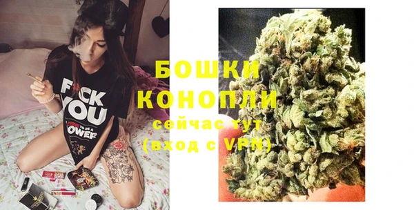 гидра Волоколамск