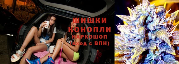 гидра Волоколамск